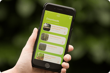 IVN Route app