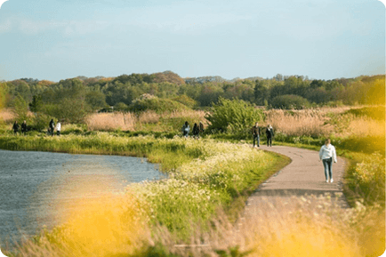 Natuurgebied Den Bosch
